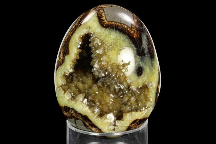 Calcite Crystal Filled Septarian Geode Egg - Utah #123845